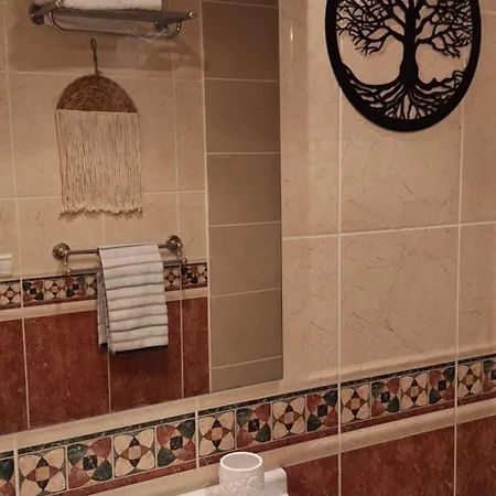 公寓 Cybele - Hyper Centre 阿卡雄